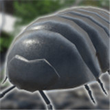 圆滚滚朋友