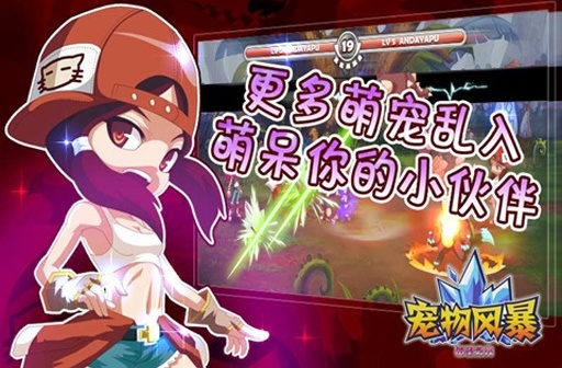 宠物风暴