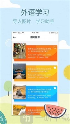 拍拍译