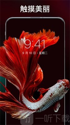 主题刘海壁纸