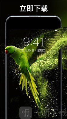 主题刘海壁纸