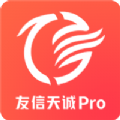 友信天诚