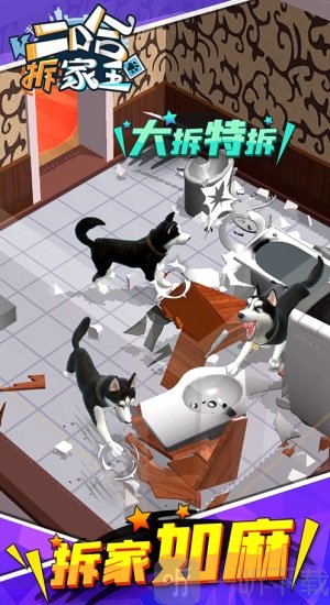 二哈拆家王