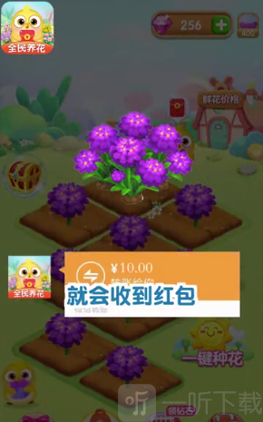 全民养花