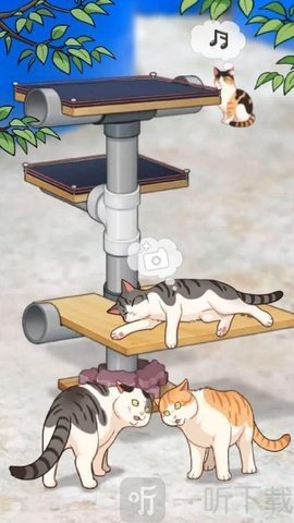 渔场猫咪