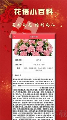 丘比特派送