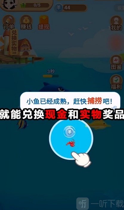阿伦的鱼塘