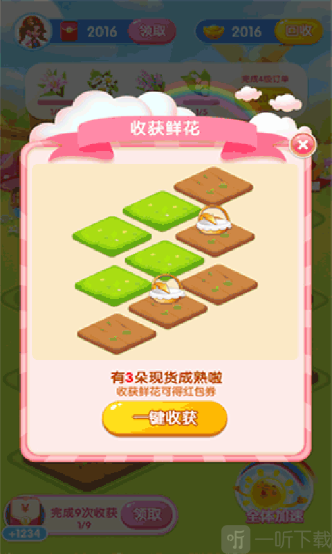 花兒的世界