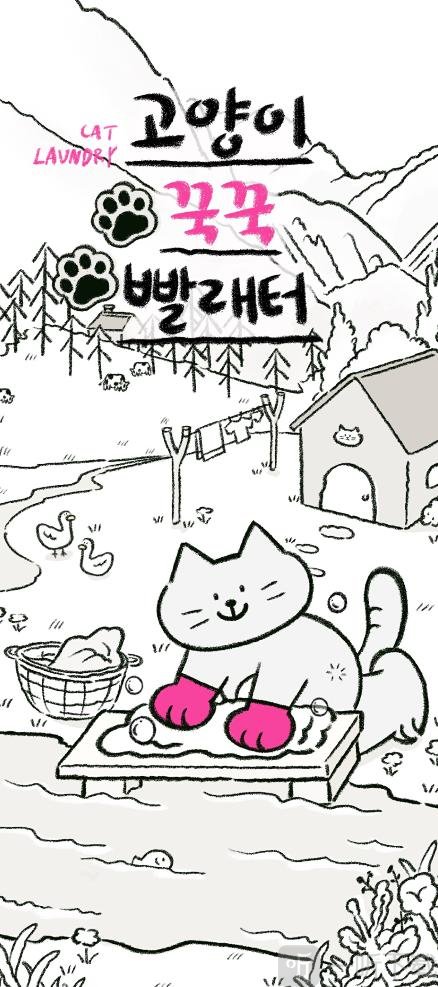 猫猫洗衣
