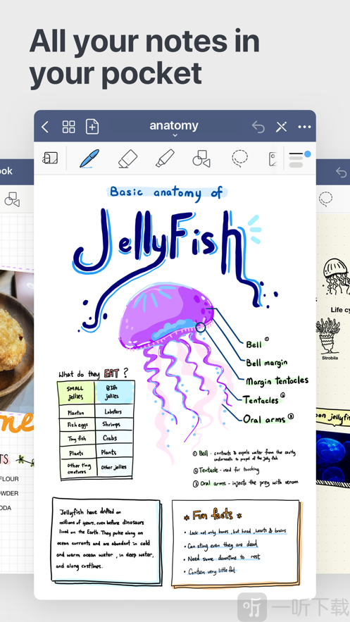 goodnotes手帐app
