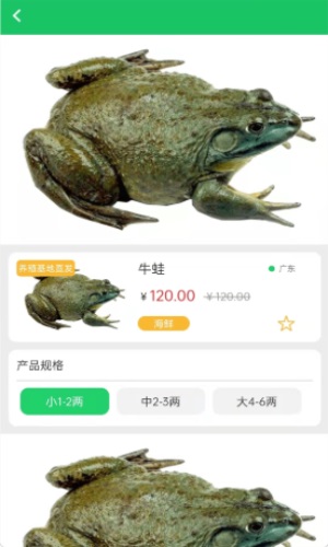晓能批发
