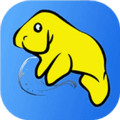 海牛转