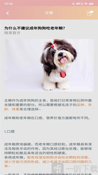 陪宠app手机版下载-陪宠2021免费版下载v1.0