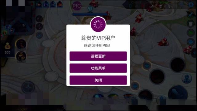 王者榮耀海王輔助