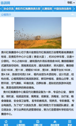 甘肃信鸽网