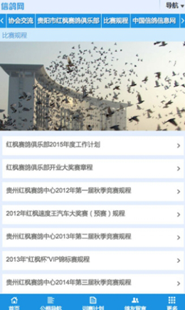 甘肃信鸽网
