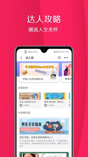 普吉猫