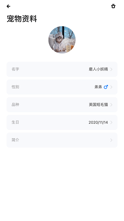 铲屎啦
