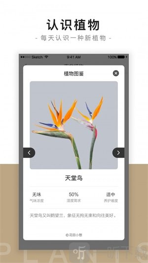 花田小憩app下载-花田小憩手机版安卓下载v7.6.2
