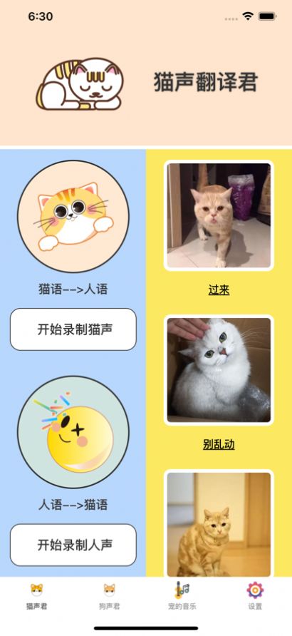 宠宠声君