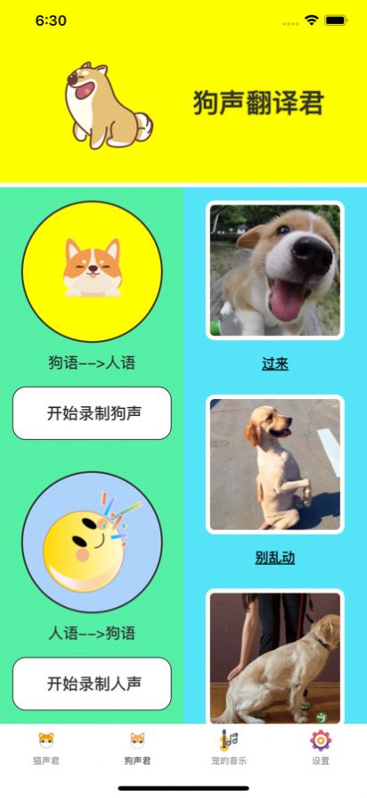 宠宠声君