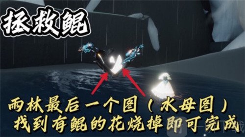 光遇霞谷彩虹下的蜡烛在哪 11.29每日任务流程介绍