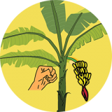 破壞熱帶植物