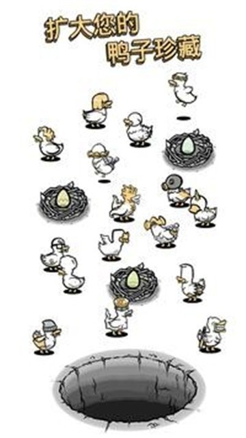 蛋里是什么鴨