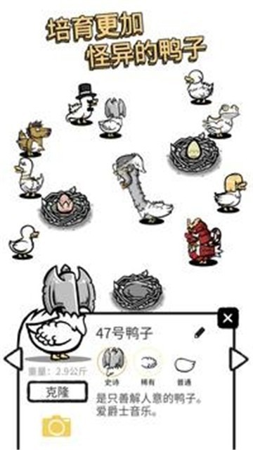 蛋里是什么鴨