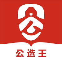 武汉公选王
