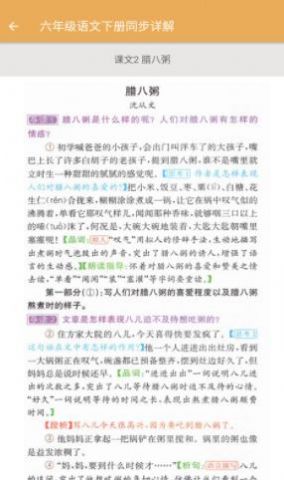 小学语文同步详解