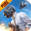 pubg地铁逃生辅助神器最新
