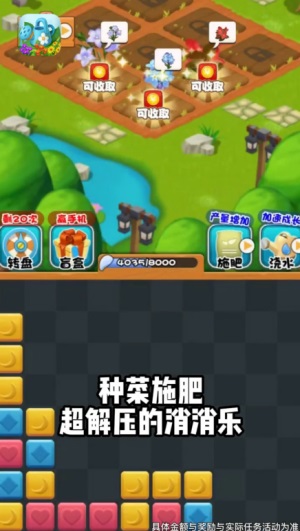 我的小院