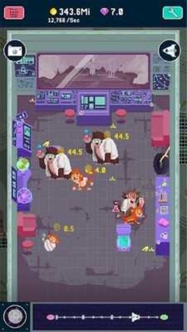 猴子进化