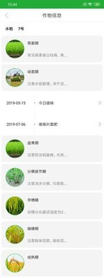 农鲸的图册