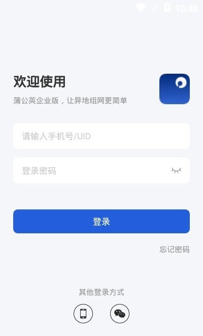 蒲公英