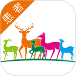聚鹿康复