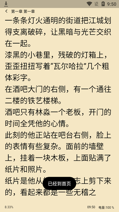 琴岩小说