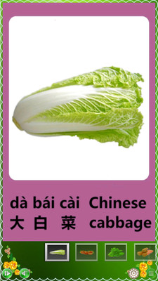 認識蔬菜寶寶早教