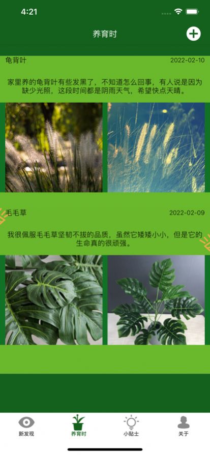 满眼青翠