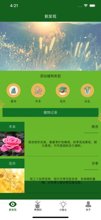 满眼青翠