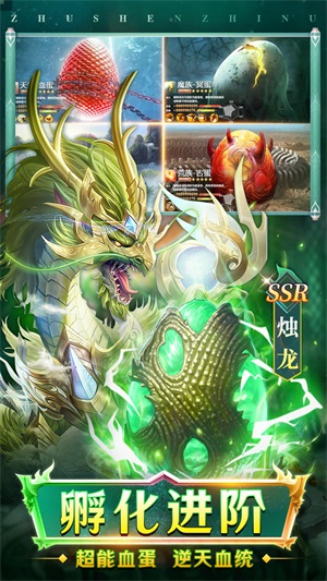 主宰灵域
