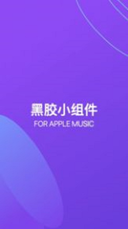 谜底黑胶