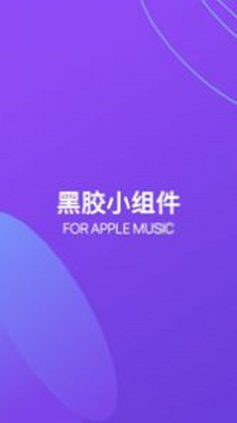 谜底黑胶唱片