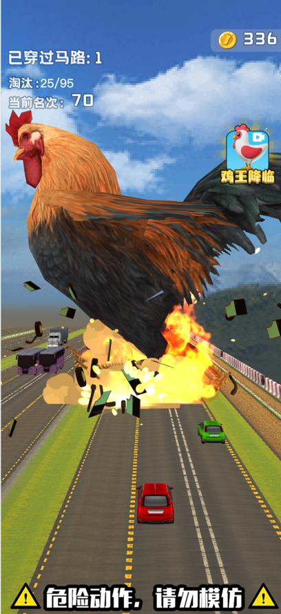 小鸡哪里跑小鸡闯马路