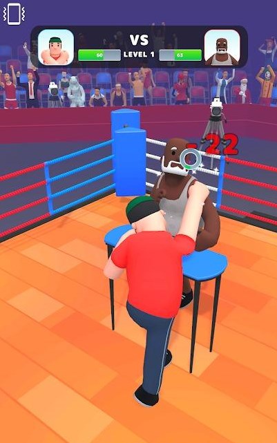 RagdollBoxer
