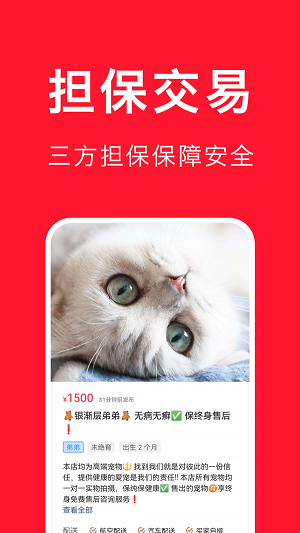宠物宝
