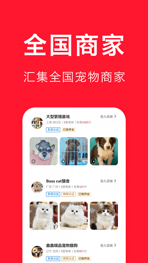 宠物宝