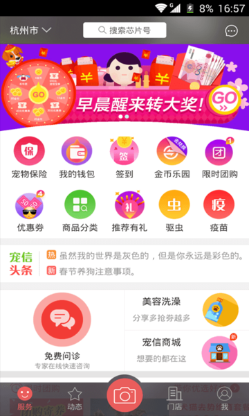 宠信
