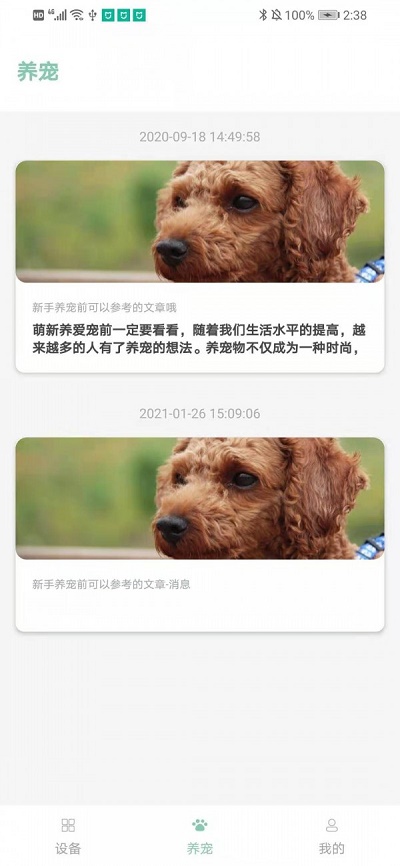 聚宠宠物